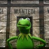 kermit