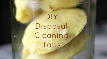 DIY Disposal Cleaning Tabs Recipe