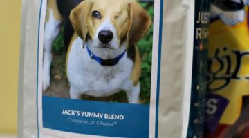 Answering Questions About Dog Behavior: Why Does he Stand Right ON Me?