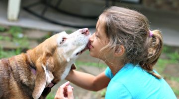 3 Way to Give Back to Pets that Give Us So Much