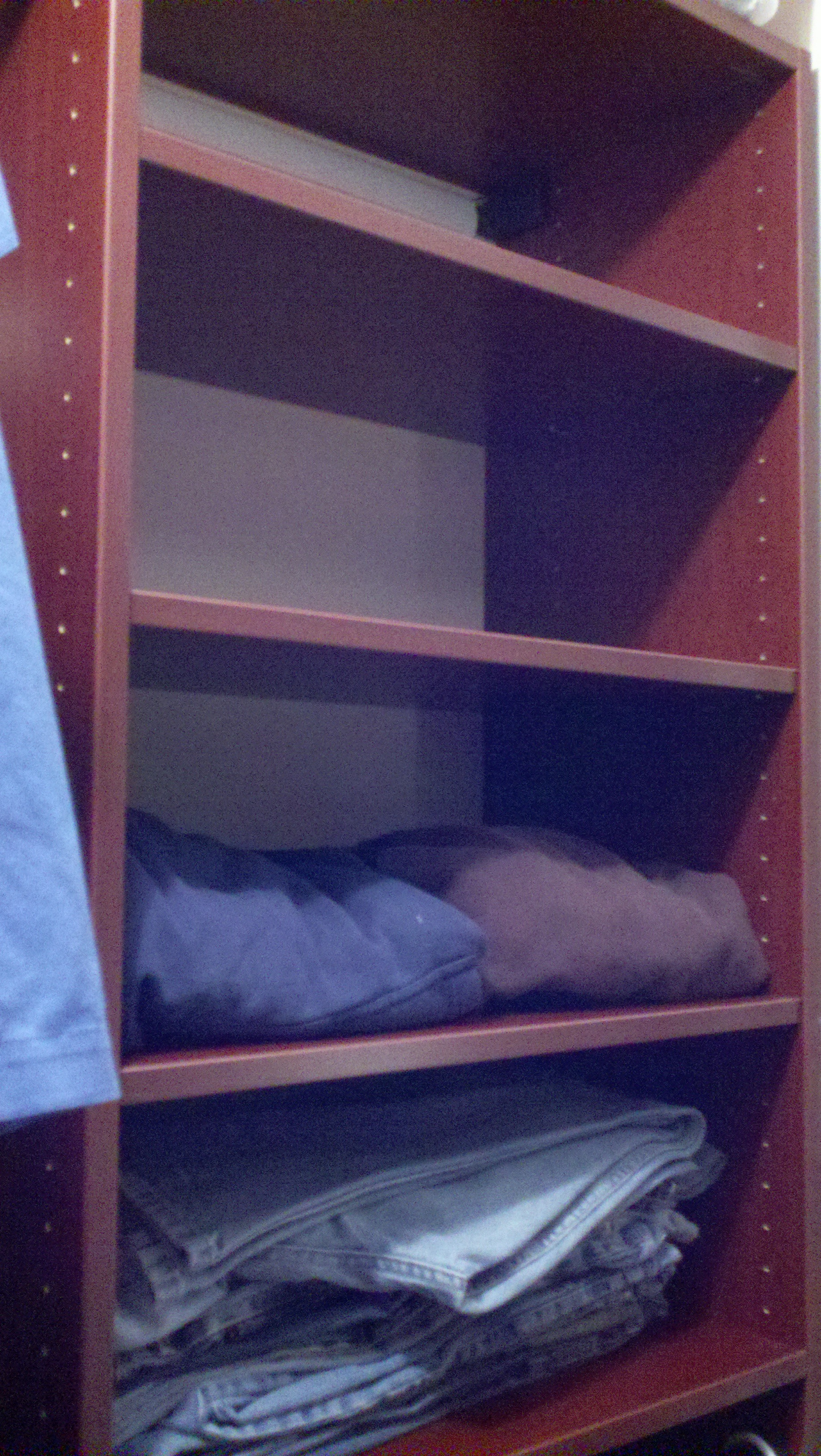 How to Organize a Master Closet with Closet Organizers USA The Results