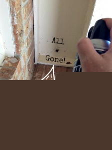 Hot Shot Insecticides #HotShot #Ad