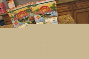 Start a Conversation with Your Kids with Harvest Time Books and Games