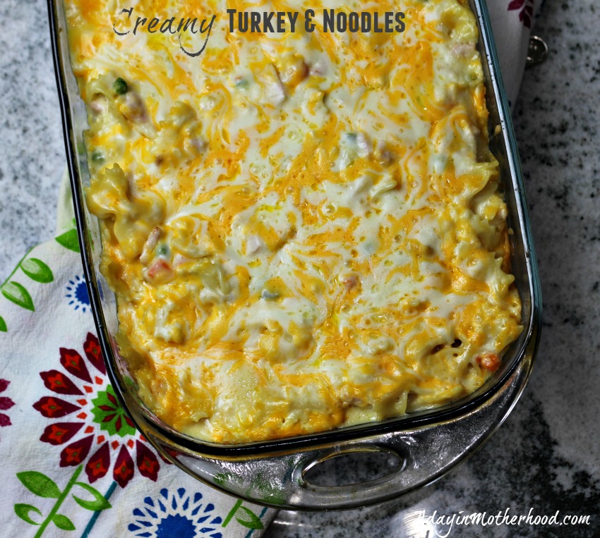 Creamy Turkey & Noodles Recipe #CookingUpHolidays #ad