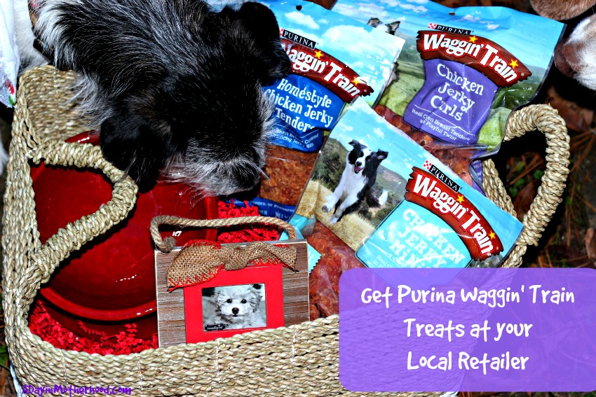 Stuff Your Dog's Stocking with Waggin' Train NEW Jerky Treats + 3 Will WIN 3 Packs