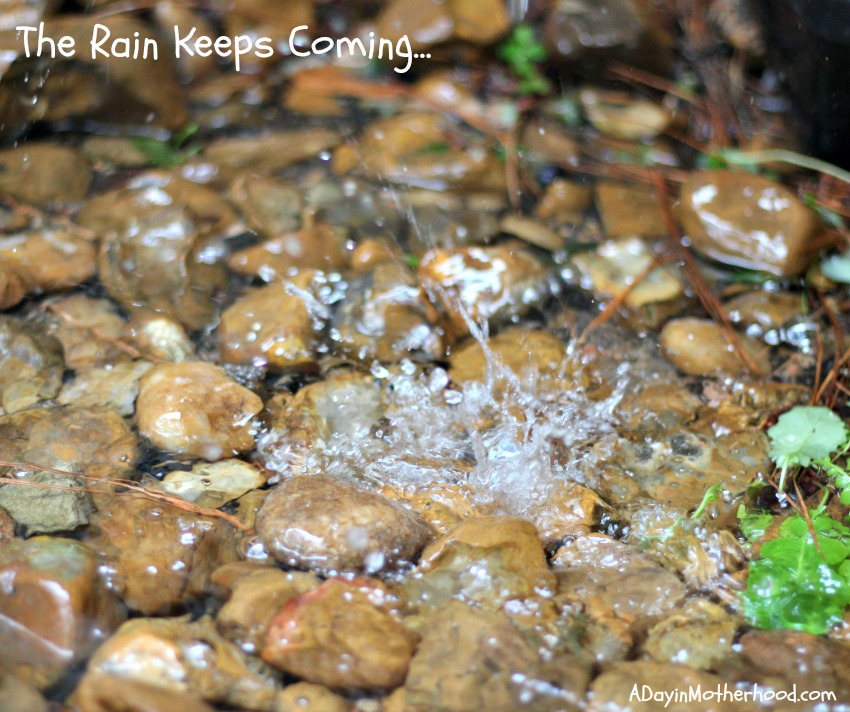 Natural Disaster Privacy Kits #CleanRippleStyle ad
