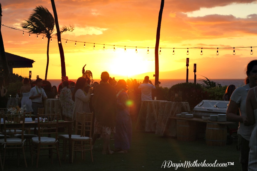 The breathtaking sunset created the perfect place to interview the cast of The Angry Birds Movie! #AlohaAngryBirds #AngryBirdsMovie