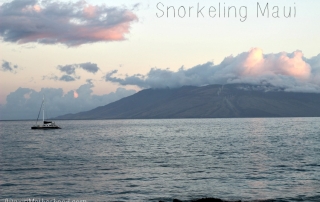 Just stepping out on the beach at Molokini Crater was enough to make Snorkeling Maui worth it! #AlohaAngryBirds #AngryBirdsMovie