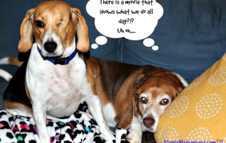 Jack and Piper are a little nervous at what I might learn at The Secret Life of Pets but I am excited! #TheSecretLifeofPets ad