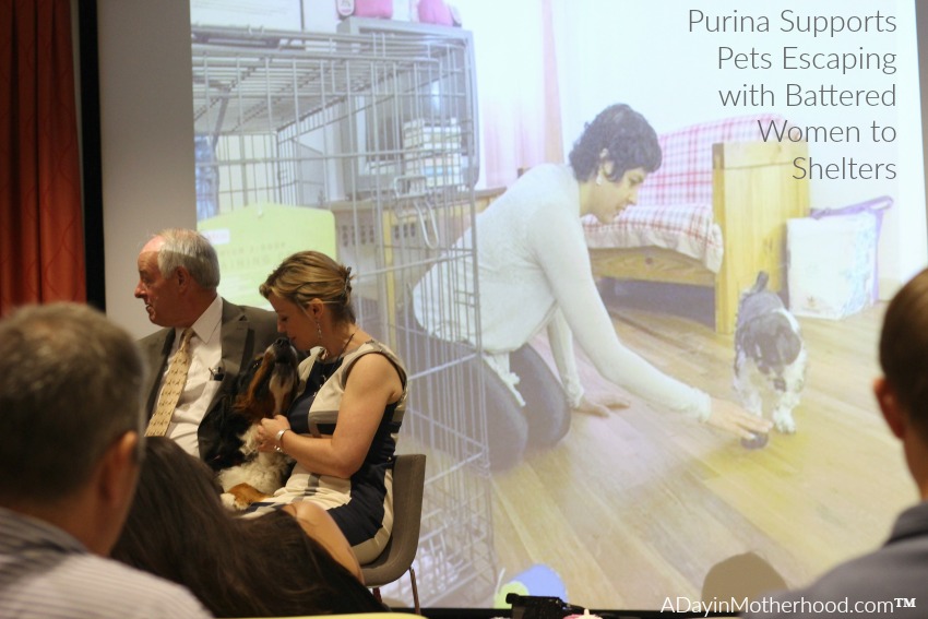 Battered Women can take their pets with them when they escape thanks to a partnership with Purina. #MeetPurina ad