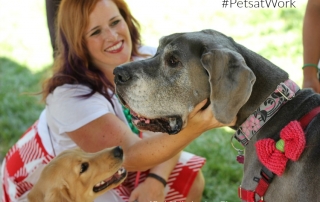 The pets are families at Purina - every day #MeetPurina ad