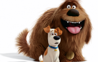 Check out the scavenger hunt 7/23/16 at PetSmart #ad