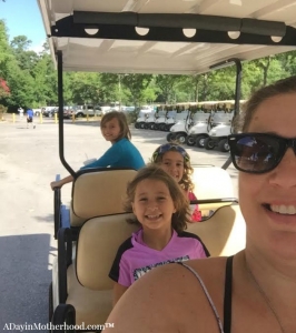 The gold courses at the Woodlands Resort are world class! #woodlandsresort ad