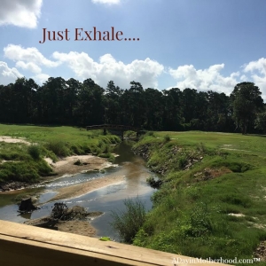The views on the courses at the Woodlands Resort are just amazing... #WoodlandsResort ad