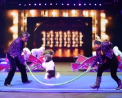 Watch the dog thrill at the UniverSoul Circus