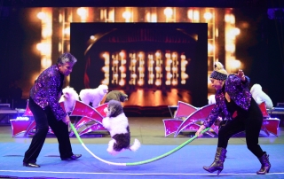 Watch the dog thrill at the UniverSoul Circus