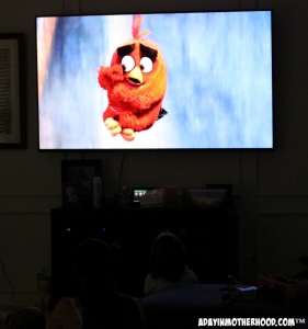 Get your Angry Birds Party movie at VUDU!
