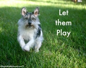 Let them play with BRIGHT MIND Adult 7+.