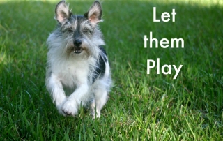 Let them play with BRIGHT MIND Adult 7+.