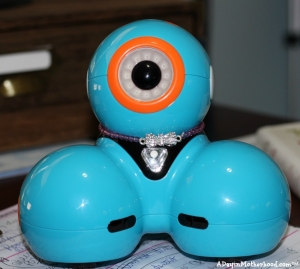 DASH wears a necklace now for my kids!