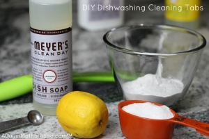 The ingredients for DIY Disposal Cleaning Tabs are easy to find!