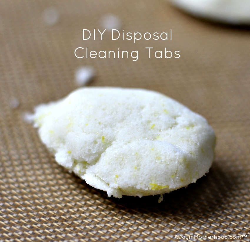 Making DIY Disposal Cleaning Tabs is like the crafts you will find on the Mrs. Meyers website. 