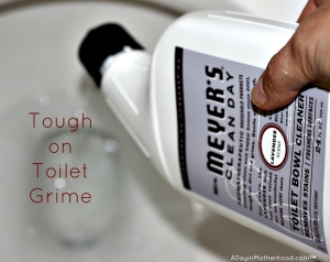 Clean those toilets while the DIY Disposal Cleaning Tabs do their thing.