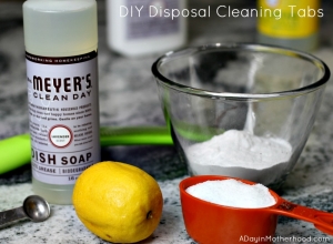 The ingredients for DIY Disposal Cleaning Tabs are simple.