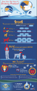 PetSafe Keep Your Pet Hydrated infographic ad