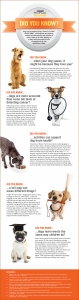 Check out this infographin on BRIGHT MIND Adult 7+.