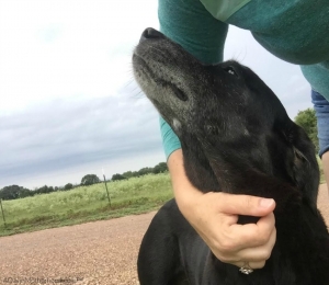 Meet Jade, she came to visit when life is overwhelming and made it all better.