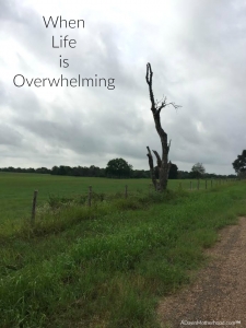 When Life is Overwhelming, you can run away. Even for just a day or two.