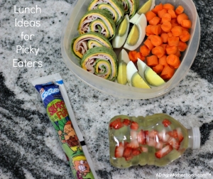 Try creative lunches for those picky eaters! #SaveALotInsiders #PackNSnap #ad