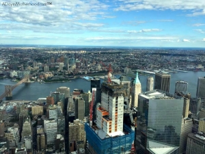 View from One World Trade