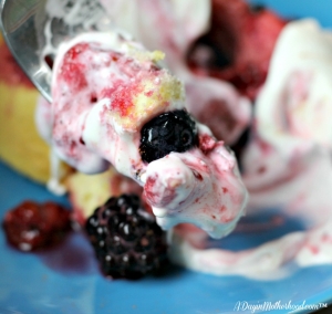 Enjoy Easy Mixed Berry Shortcake