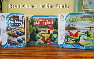 Smart Games are fun that the whole family can have. ad