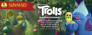 Trolls is in theaters November 4, 2016!