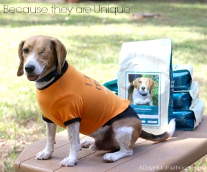Make sure you feed a food as unique as they are with Purina Just Right