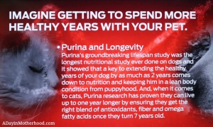 The nutrition in Purina pet foods were a focus of the Better With Pets Summit