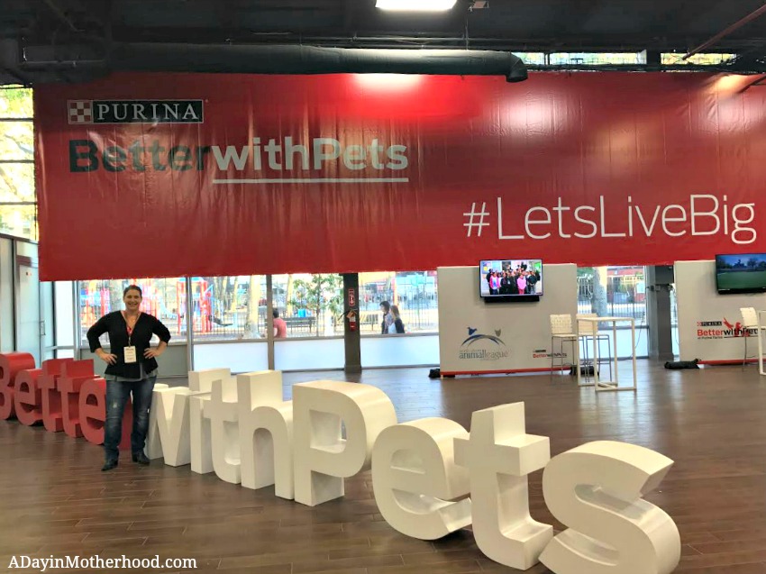 Purina's Better with Pets Summit was informative and fun!