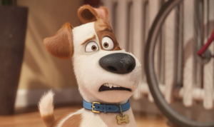 The Secret Life of Pets is coming home SOON!