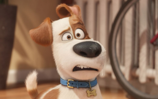 The Secret Life of Pets is coming home SOON!