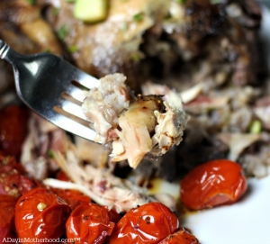 The meat falls from the bone in this Slow Cooker Wild Rice Stuffed Cornish Game Hen Recipe