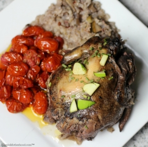 Slow Cooker Wild Rice Stuffed Cornish Game Hen Recipe is an easy and delicious recipe