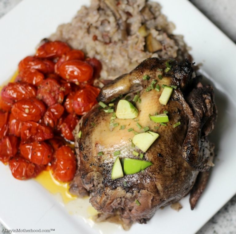 Slow Cooker Wild Rice Stuffed Cornish Game Hen Recipe