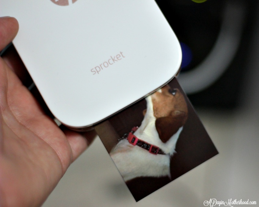 The HP Sprocket compliments your iPhone!