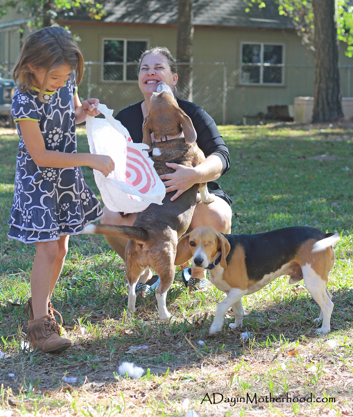 5 Tips to Keep Your Home Clean with Multiple Pets