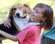 We love our rescue dogs so Finding Fido on Z Living will be on our 2017 watch list!