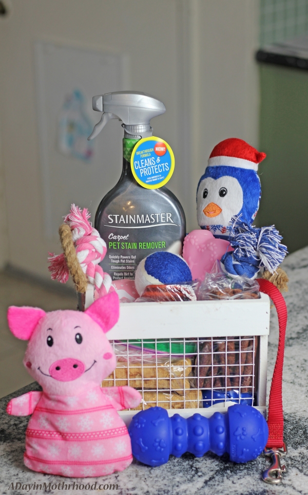 to the Family Pet Gift Basket Ideas