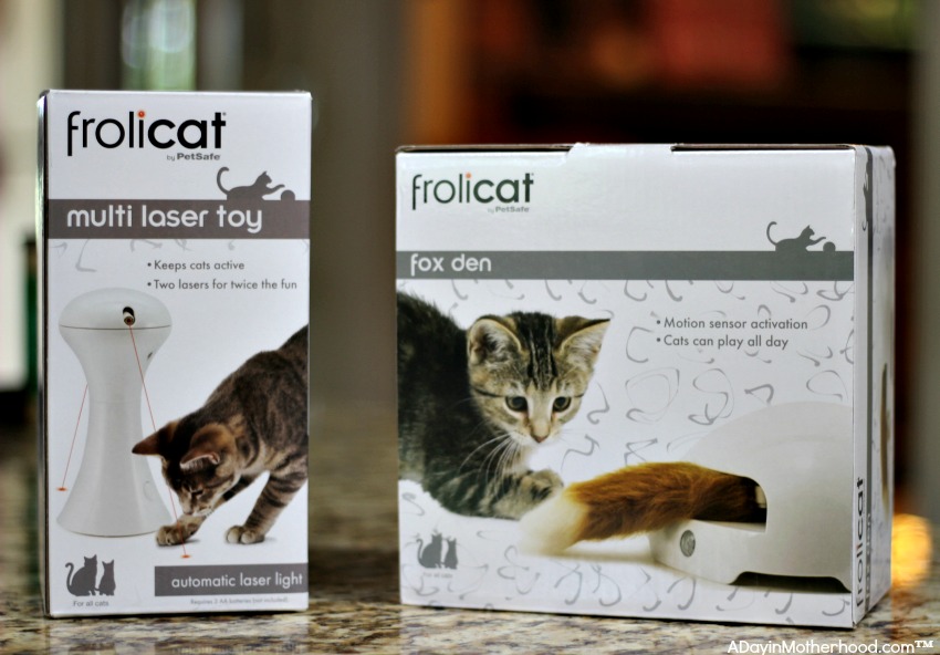 Automatic Cat Toys from Petsafe are fun!